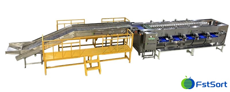 images/1700126261993longon sorting grading line.jpg